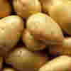 A close up of potatoes